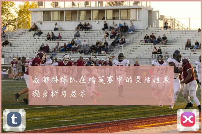 成都排球队在精英赛中的灵活性表现分析与启示