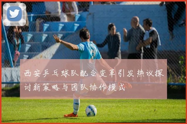 西安乒乓球队配合变革引发热议探讨新策略与团队协作模式