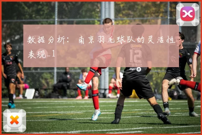 数据分析：南京羽毛球队的灵活性表现_1