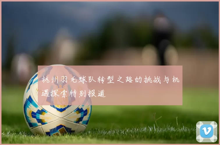 杭州羽毛球队转型之路的挑战与机遇探索特别报道