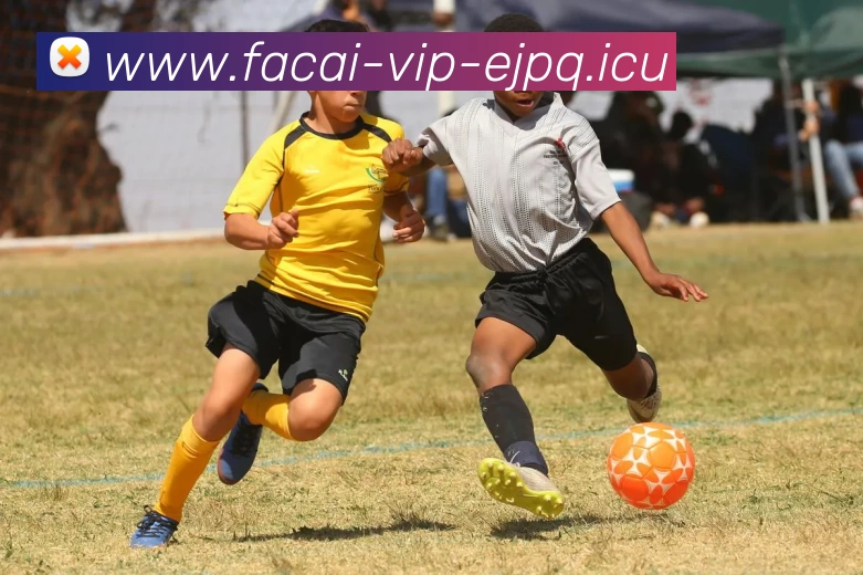 乐鱼体育服务体系